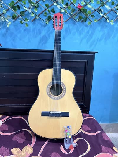 Beginner level acoustic guitar