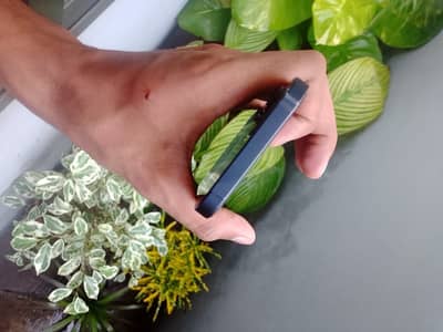 Apple iPhone 12  / factory unlock