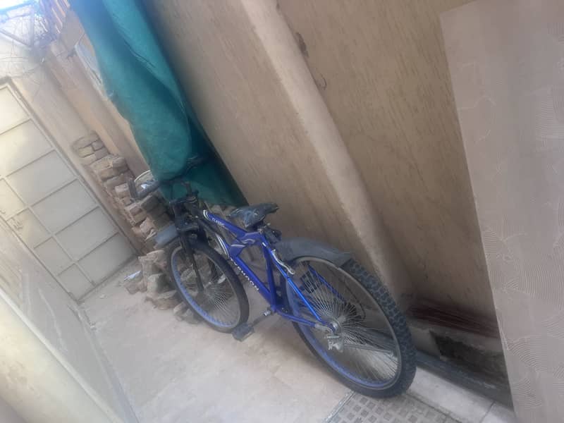 Large full size cycle 3