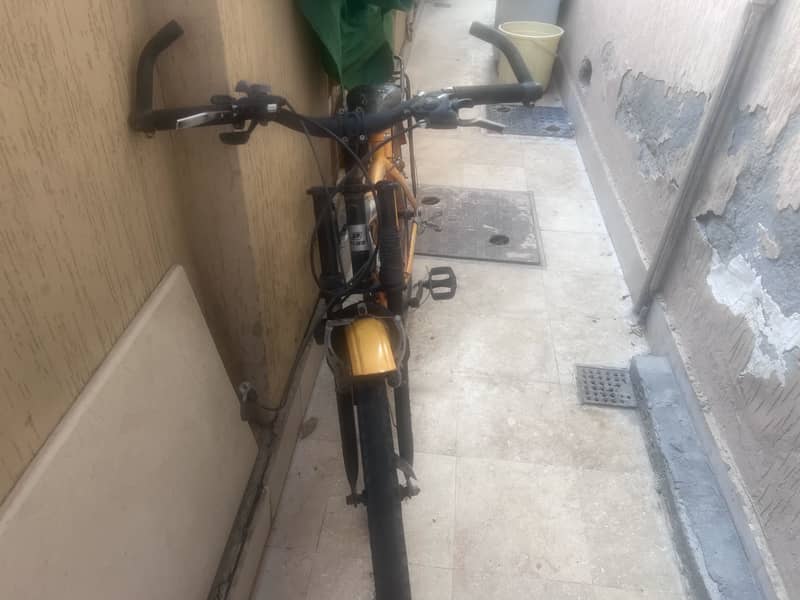 Large full size cycle 4
