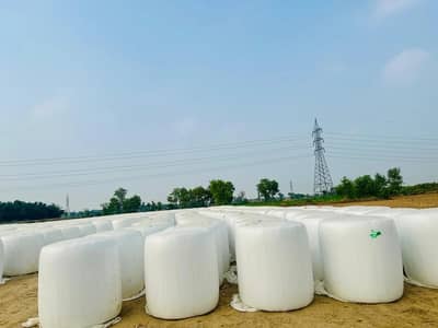 Premium Quality Silage Bales for Dairy Farms & Livestock Feed