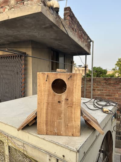 Lovebird Breeding Box | Double Side Open | 10 Pieces Available