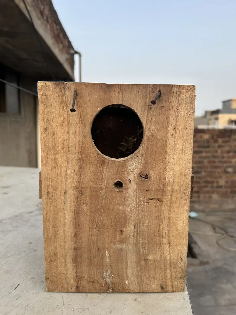Lovebird Breeding Box | Double Side Open | 10 Pieces Available — photo 2