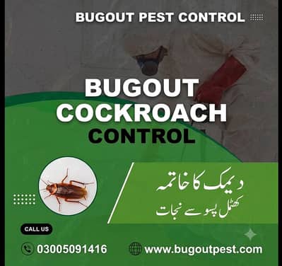 Pest control ,cockroach Spray,Rodent Control &Anti Bed Bugs Treatment