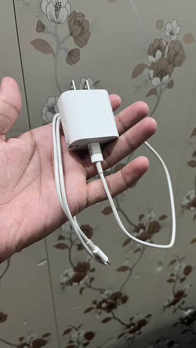 Original Apple iPhone Charger Adapter and C to Lightning cable