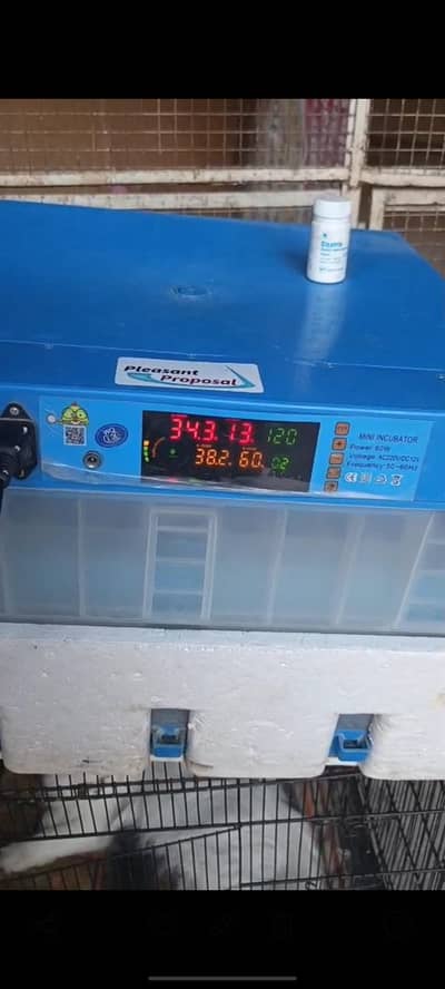 imported 128 Eggs incubator