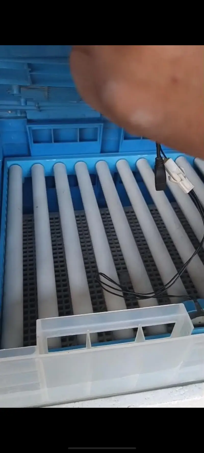 imported 128 Eggs incubator — photo 3