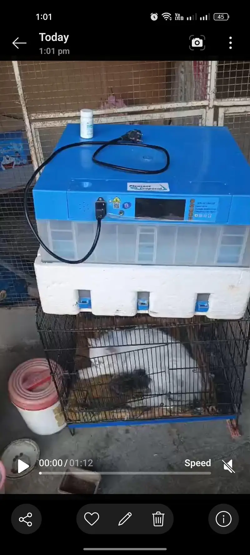 imported 128 Eggs incubator — photo 4
