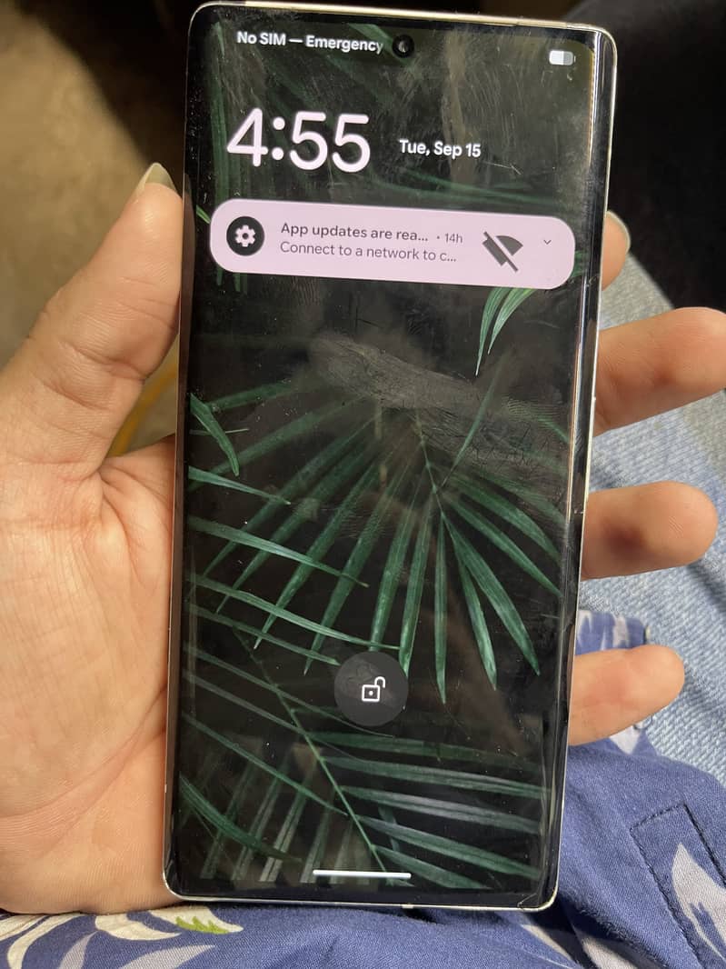 Google Pixel 6 Pro 1