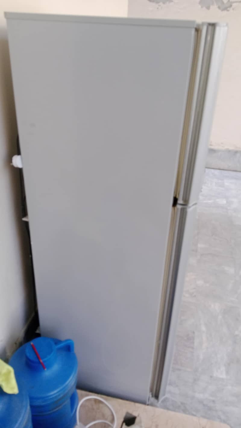 fridge 7