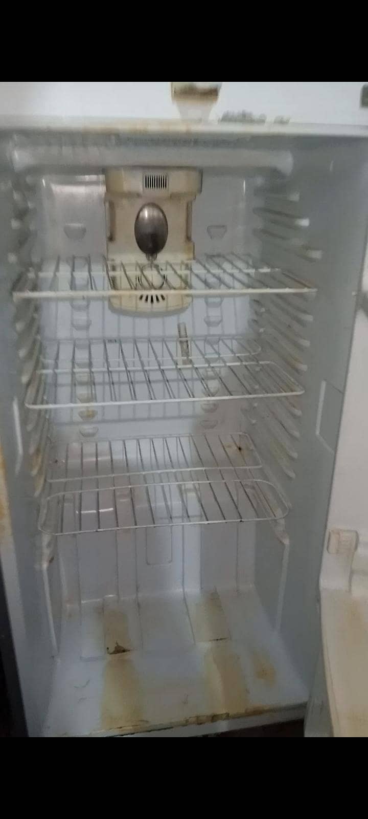 fridge 1