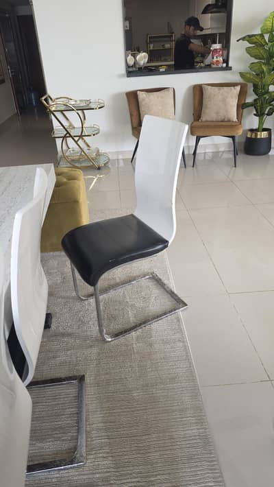 10 dining chairs imported