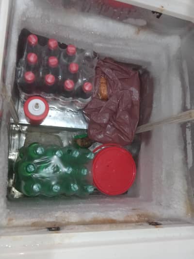 double door waves freezer