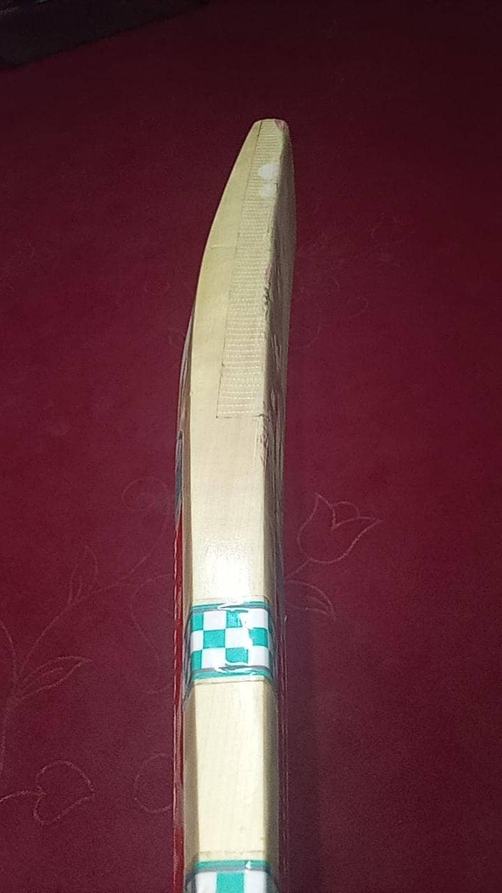 cricket bats 4