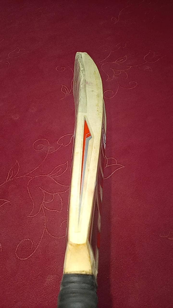 cricket bats 8