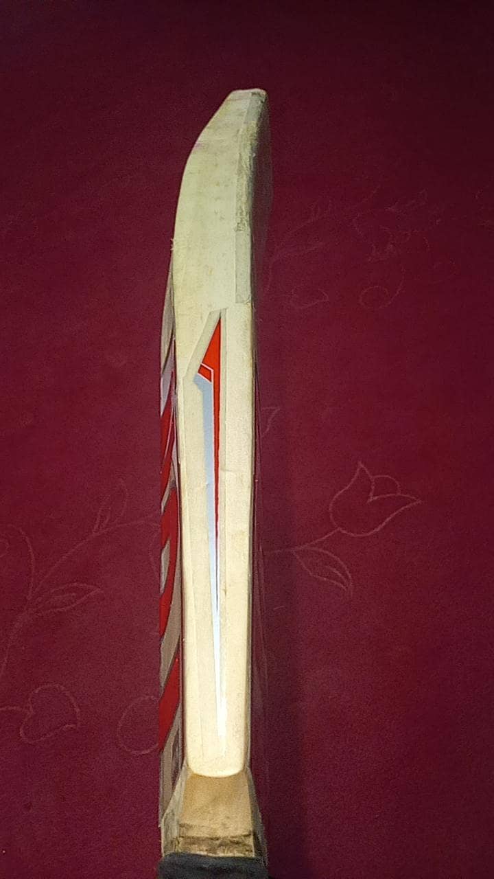 cricket bats 9