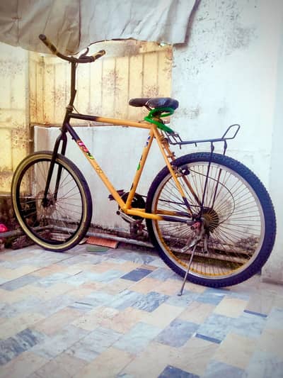 Phoenix Bicycle For Sale.