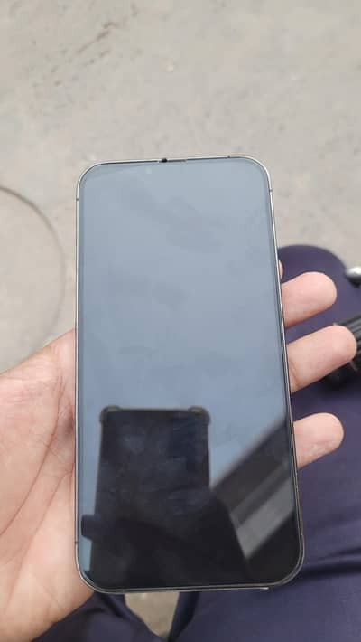 Apple iPhone 13 Pro Max