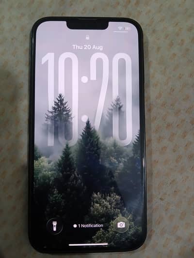 Apple iPhone 13