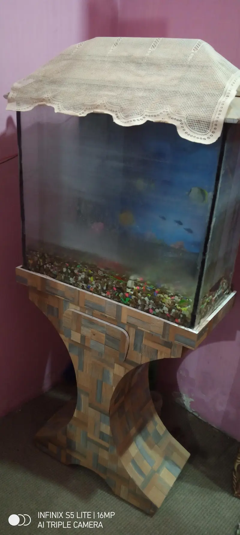 8 portion cage and single cage — photo 6