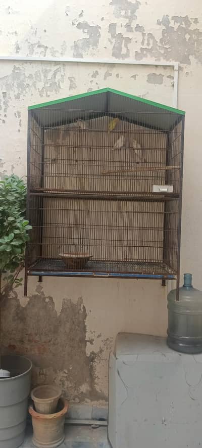 2 portion cage and love bird 1500