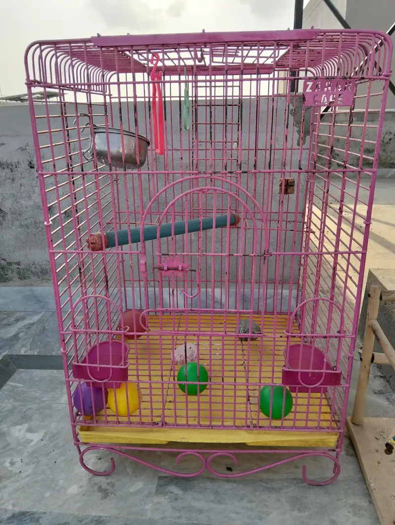 birds cages — photo 4