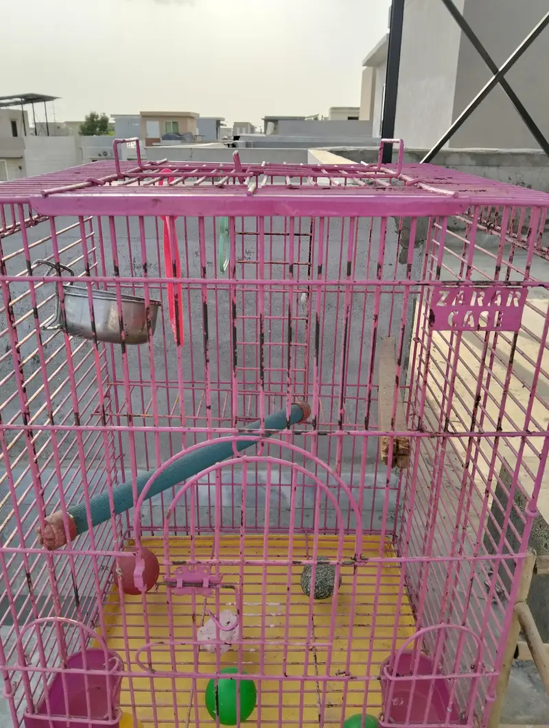 birds cages — photo 5