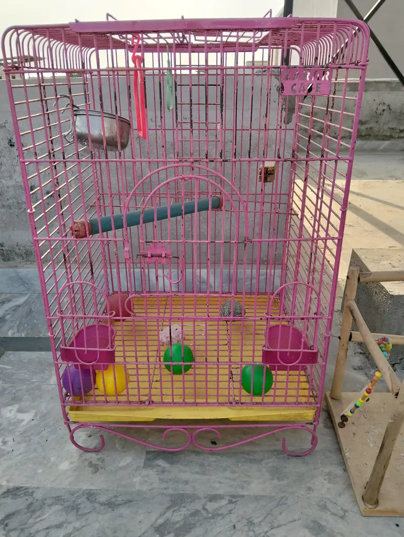 birds cages — photo 6