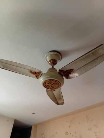 Ceiling fans