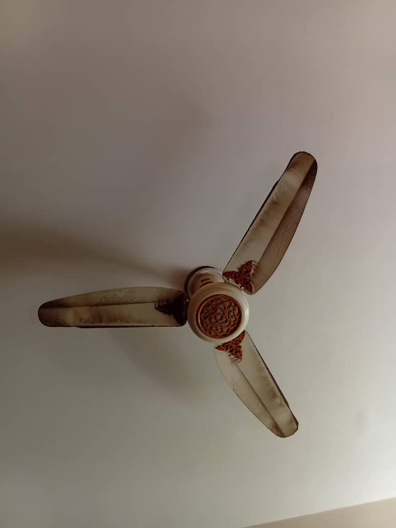 Ceiling fans 1
