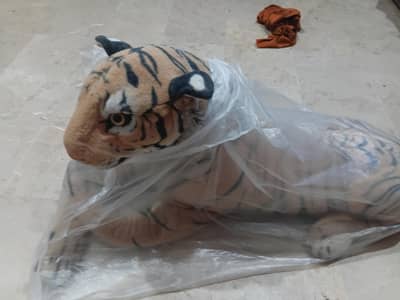 good condition