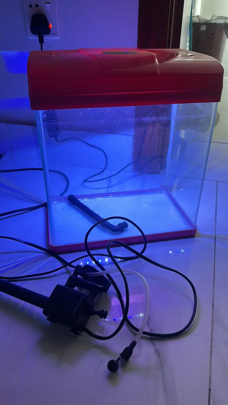 Fish Aquarium for sale Saudia Imported — photo 4
