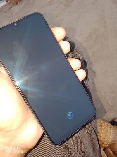 Vivo S1