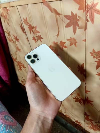 Apple iPhone 12 Pro