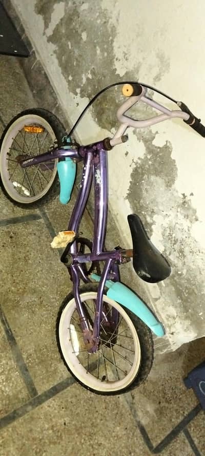 baby cycle