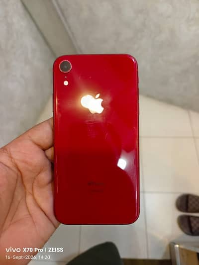 iPhone XR MDM 64GB | Total Genuine | 84% Battery | Face ID Off
