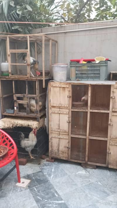 Mix Brand with 4 cages
