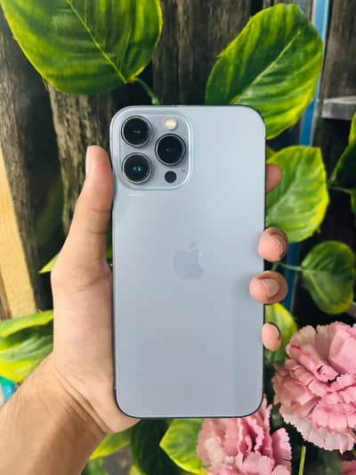 Apple iPhone 13 Pro Max