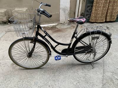 Japani cycle