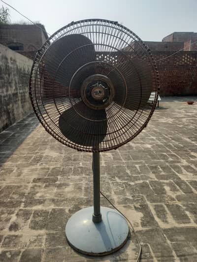 pak pedestal fans