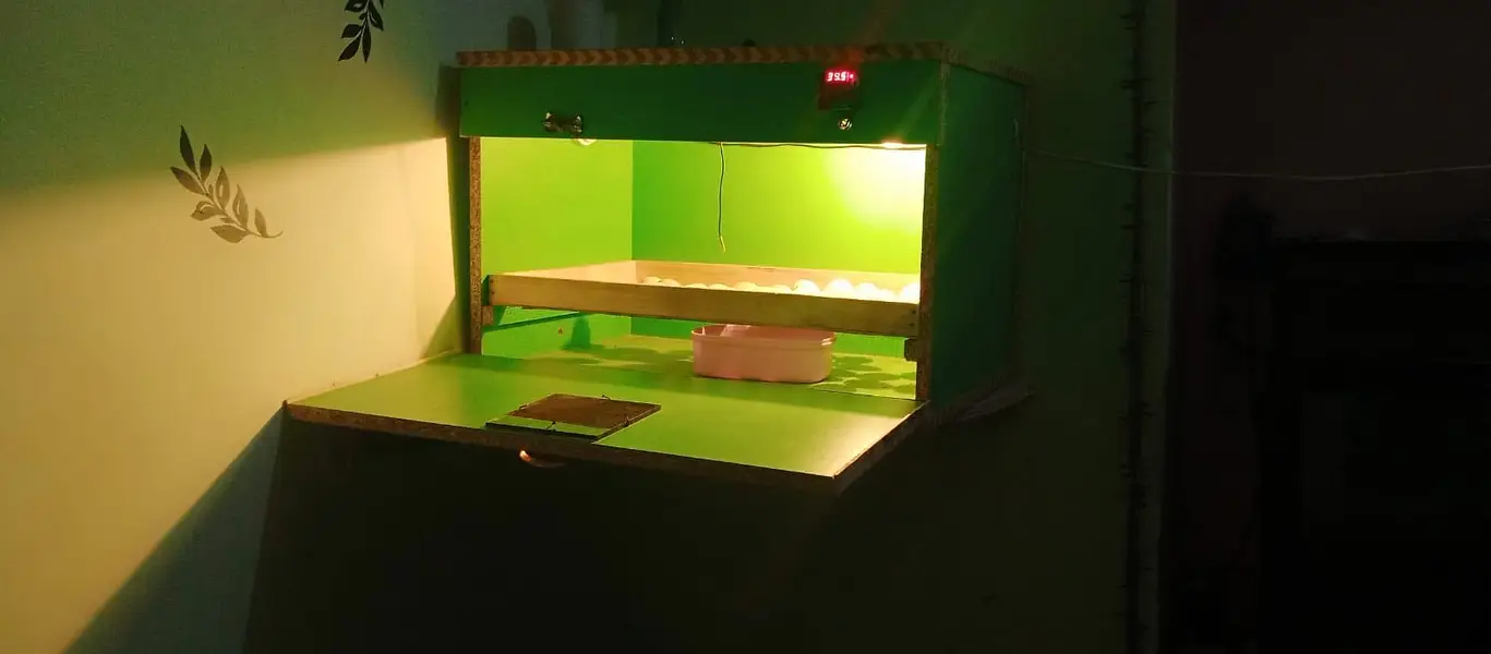 Incubator eggs 100 super