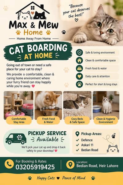 Home based Cat boarding, we have 2 years of experience