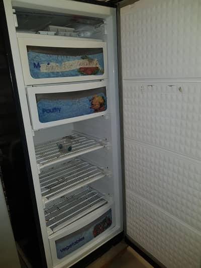 vertical freezer for sale