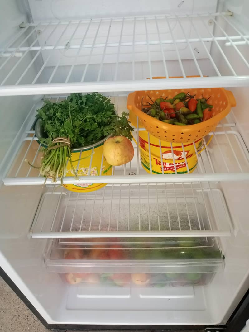 large size fridge 6