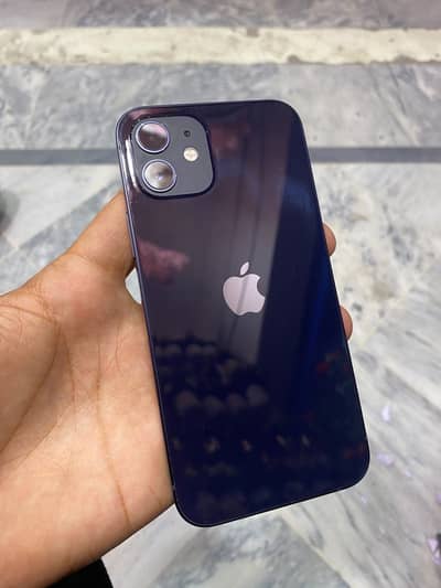 Apple iPhone 12