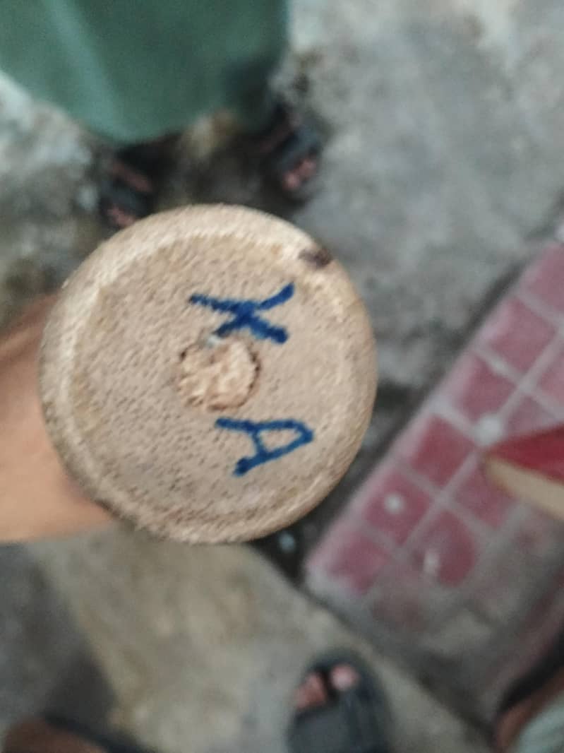 coconut bat 3