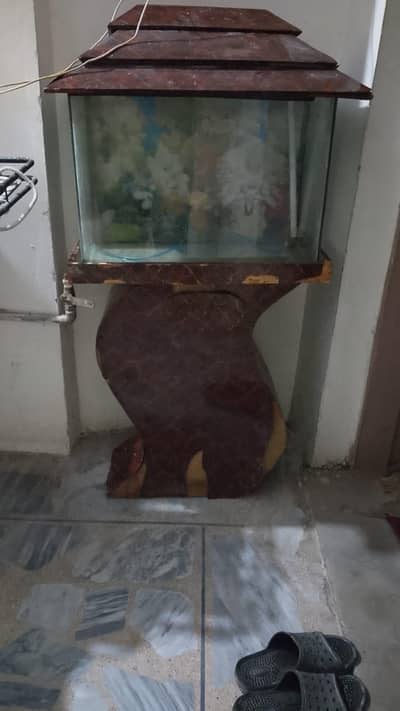 aquarium