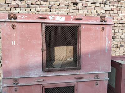Hens cages.