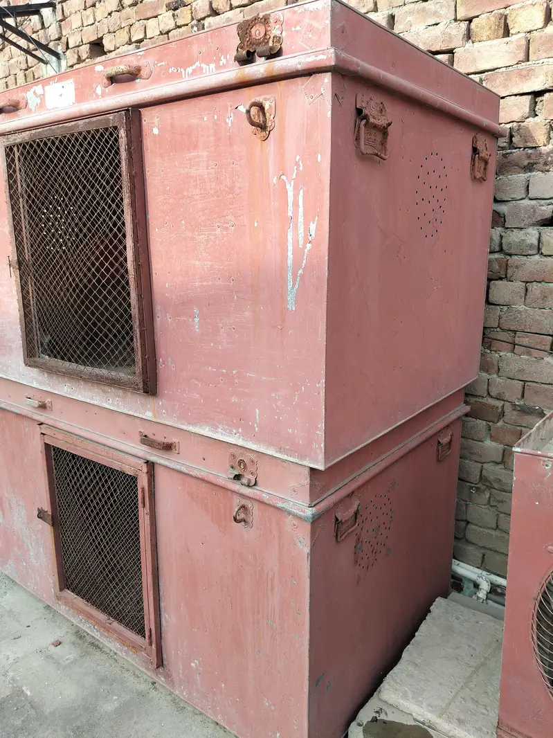 Hens cages. — photo 3