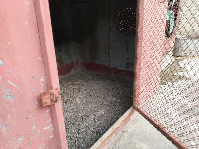 Hens cages. — photo 4